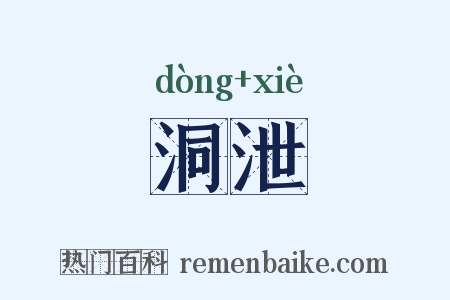 洞泄是什么意思的图片